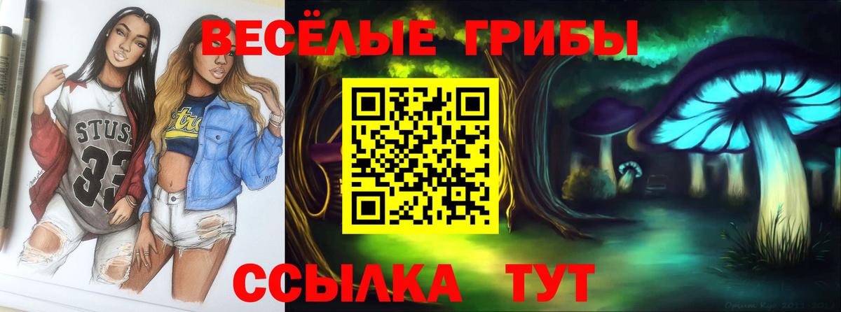 Рязань  Галлюциногенные грибы Cubensis  Вход с VPN 